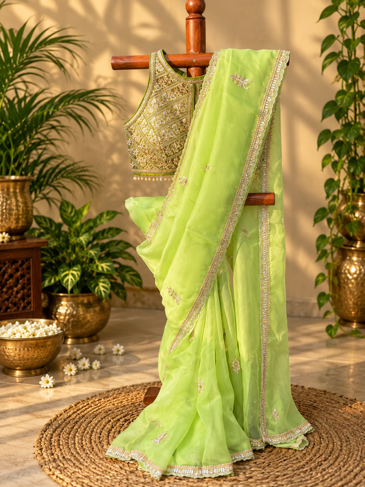Apple Martini - Pure Organza Handwork Saree